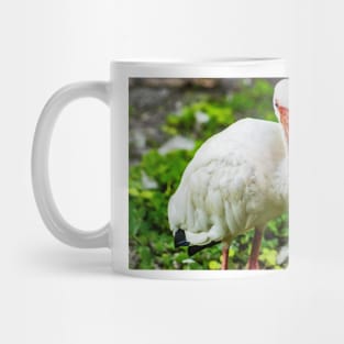 The King American white ibis Mug